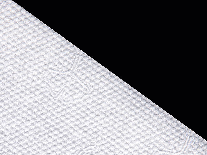 Viskoza i poliester Ginkgo Dot Style Spunlace netkani materijal za suhe ili vlažne maramice